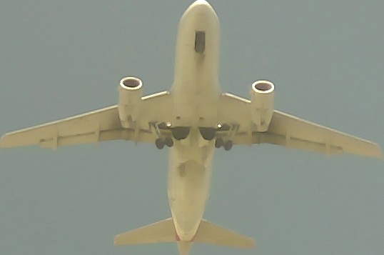 Airplane Picture