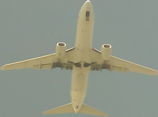 Airplane Picture