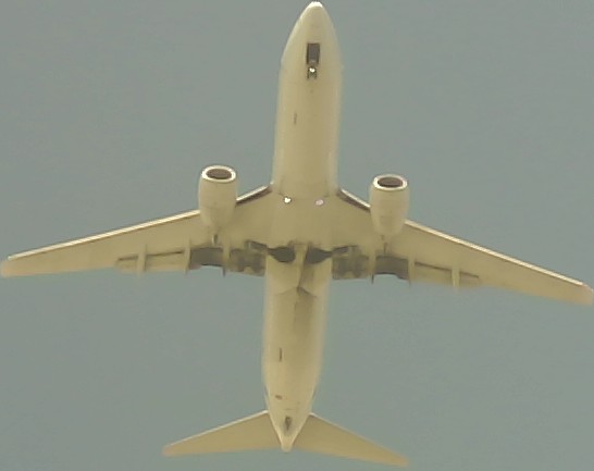 Airplane Picture