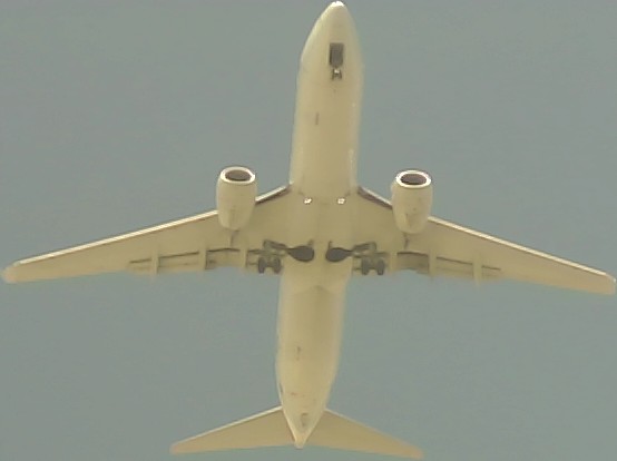 Airplane Picture