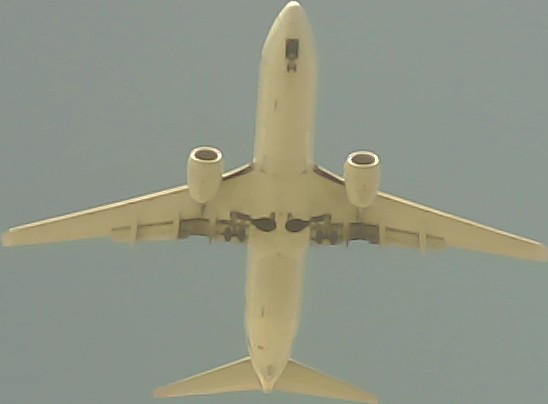 Airplane Picture