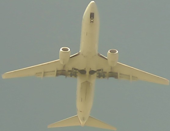 Airplane Picture