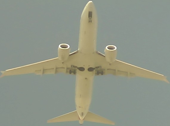 Airplane Picture