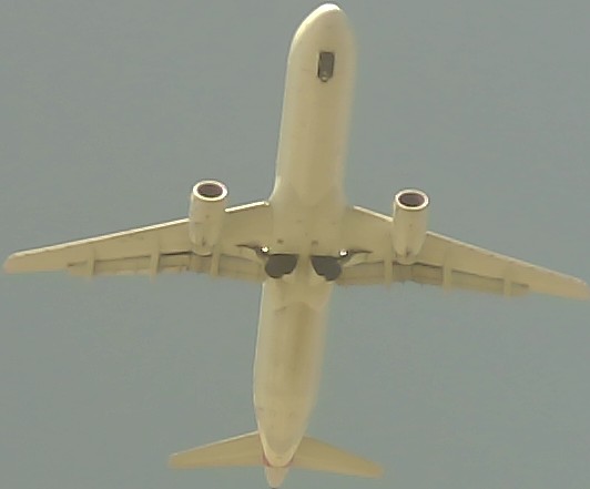 Airplane Picture