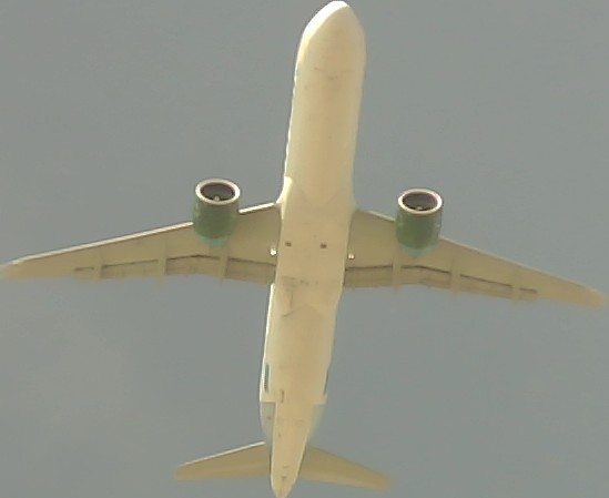 Airplane Picture