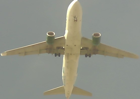 Airplane Picture