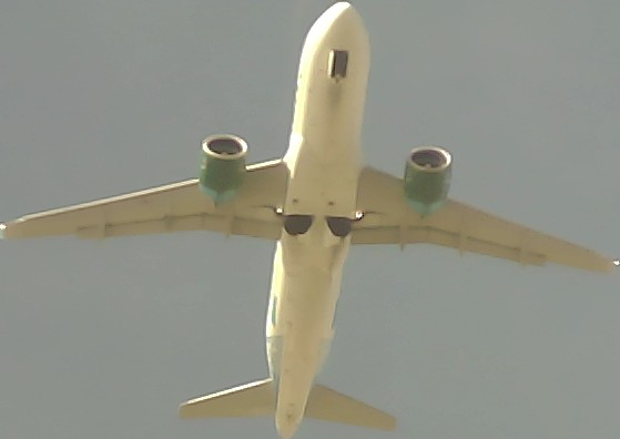Airplane Picture
