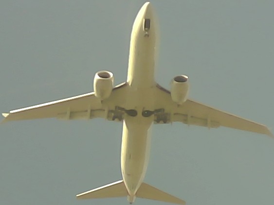 Airplane Picture
