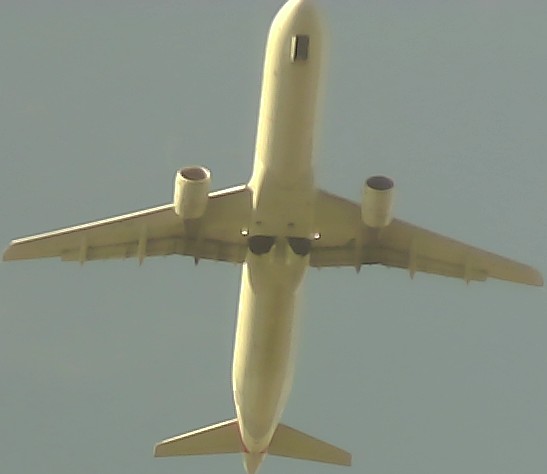 Airplane Picture