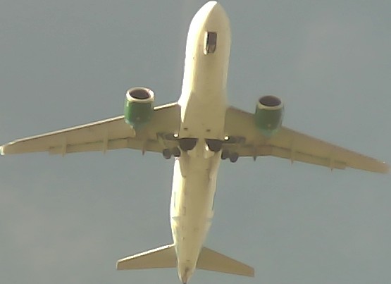 Airplane Picture