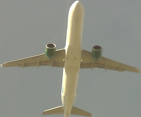 Airplane Picture