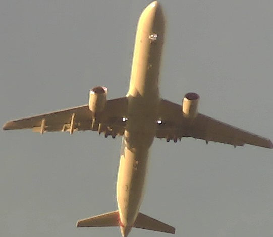 Airplane Picture