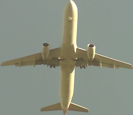 Airplane Picture