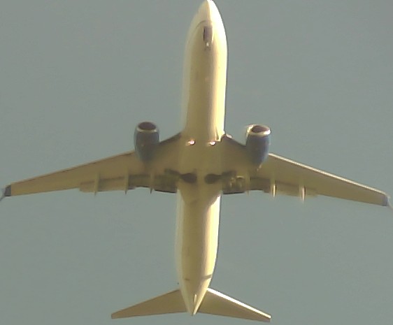 Airplane Picture