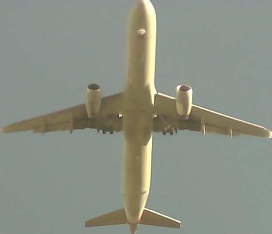 Airplane Picture