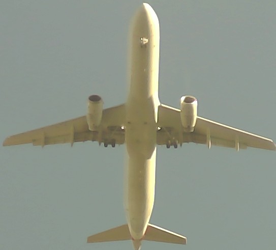 Airplane Picture