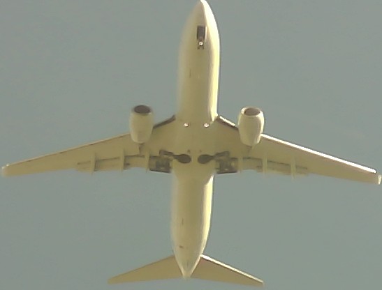 Airplane Picture
