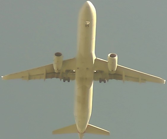 Airplane Picture