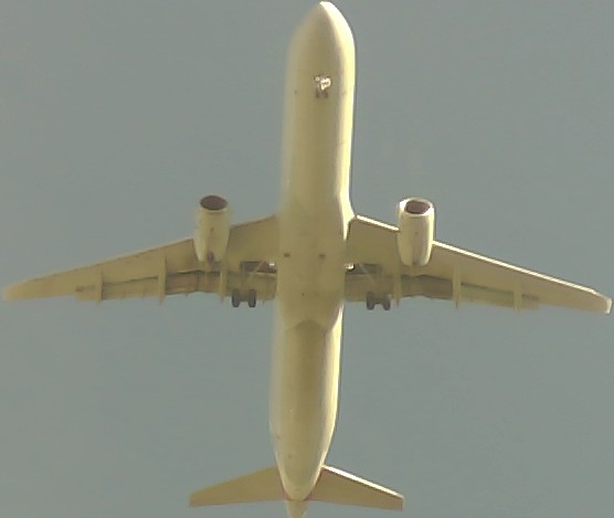 Airplane Picture