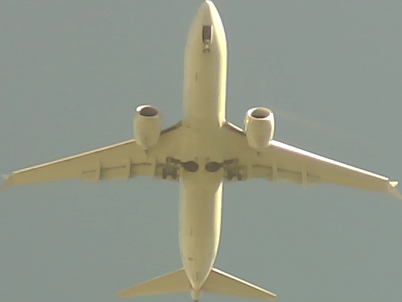 Airplane Picture