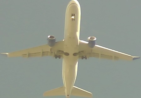 Airplane Picture