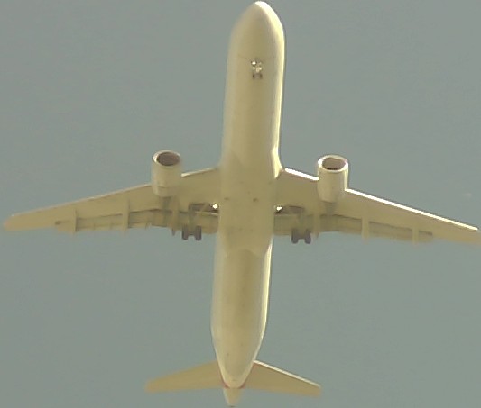 Airplane Picture