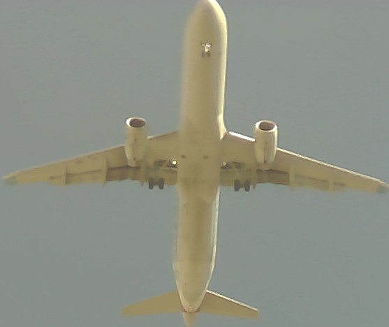 Airplane Picture