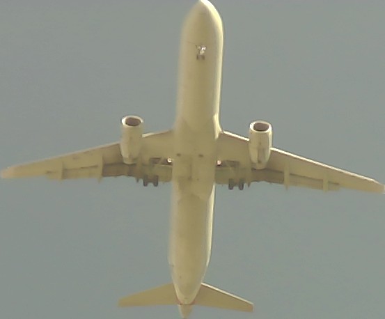 Airplane Picture