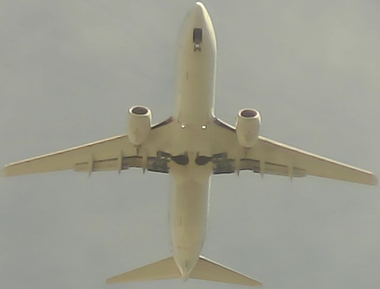 Airplane Picture
