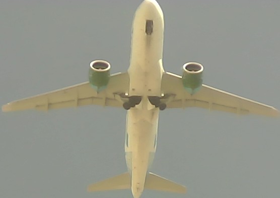Airplane Picture
