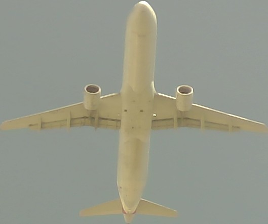 Airplane Picture