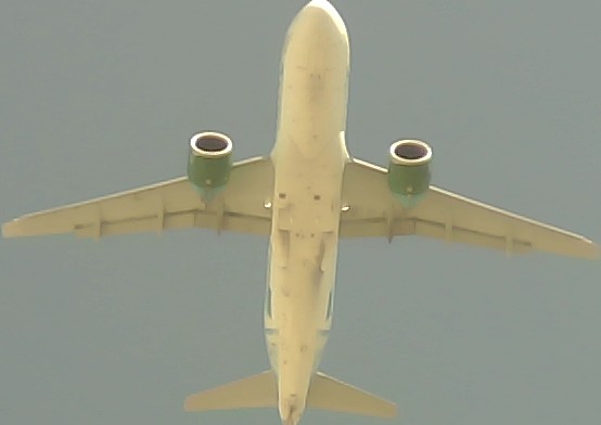 Airplane Picture