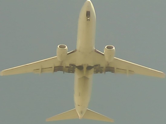 Airplane Picture