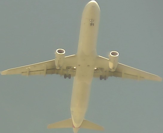 Airplane Picture