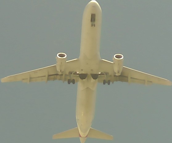Airplane Picture