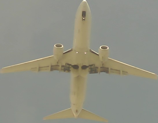 Airplane Picture