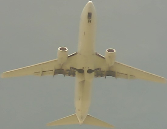 Airplane Picture