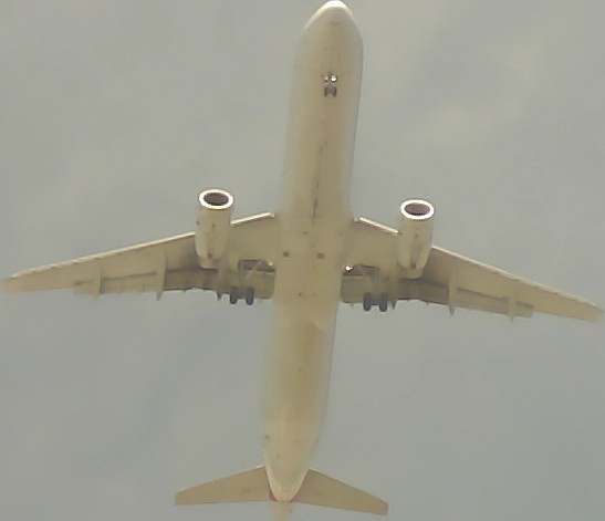 Airplane Picture