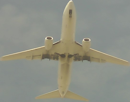 Airplane Picture