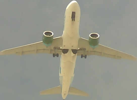 Airplane Picture