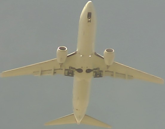 Airplane Picture