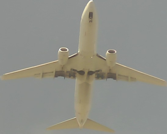 Airplane Picture