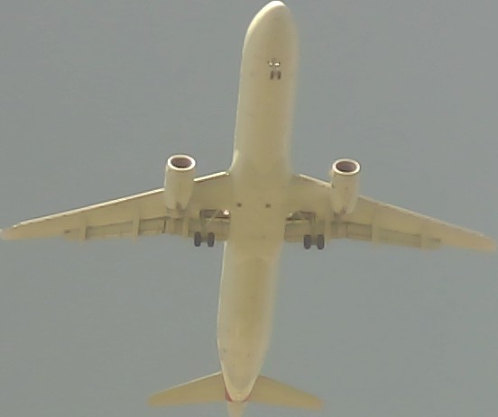 Airplane Picture