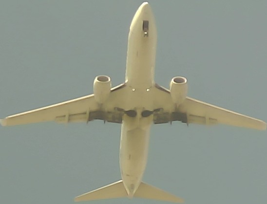 Airplane Picture