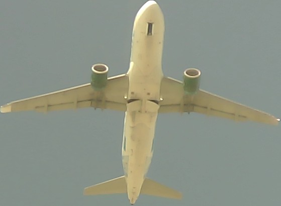 Airplane Picture