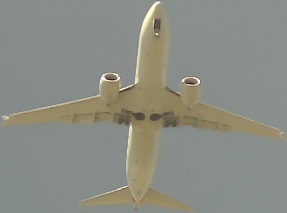 Airplane Picture