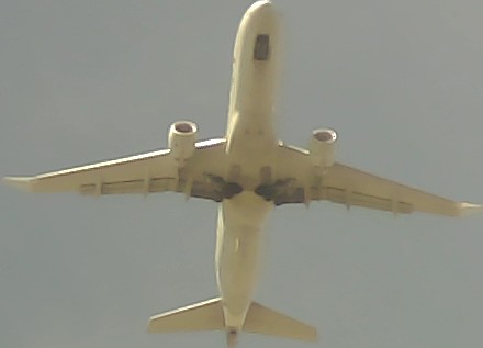 Airplane Picture
