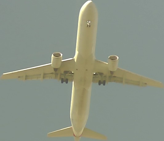 Airplane Picture