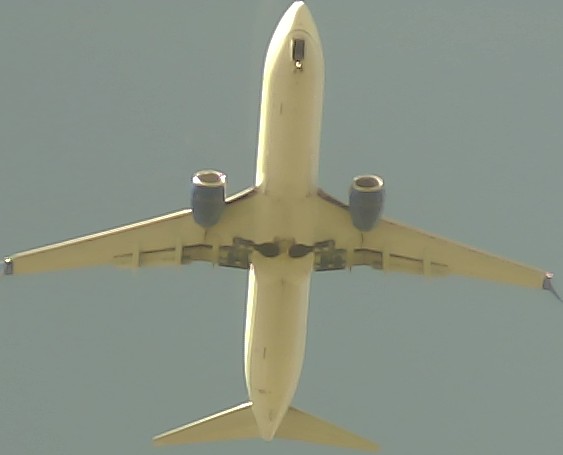 Airplane Picture