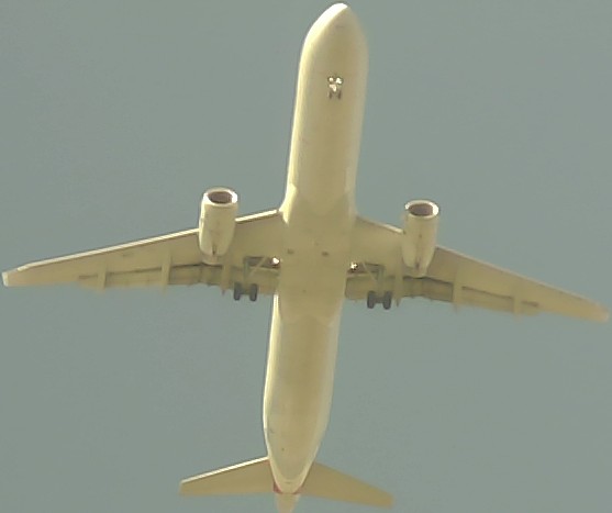 Airplane Picture